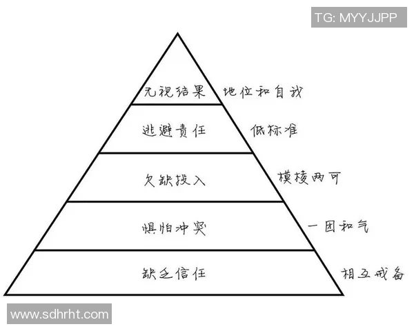 上海排球队选拔赛表现分析：节奏掌控与团队协作的关键因素探讨
