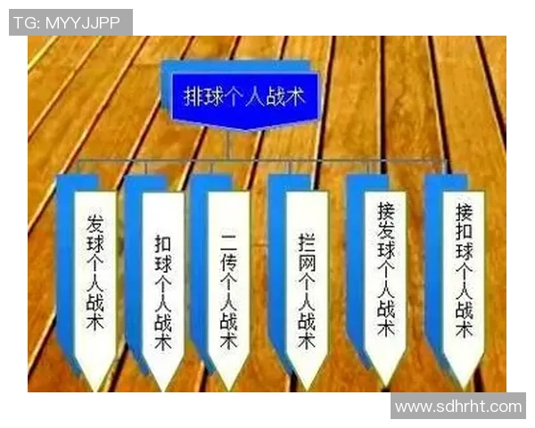上海排球队战术实力分析排球战术排行榜揭晓第六名位置